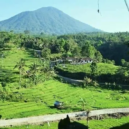 Suweden Homestay